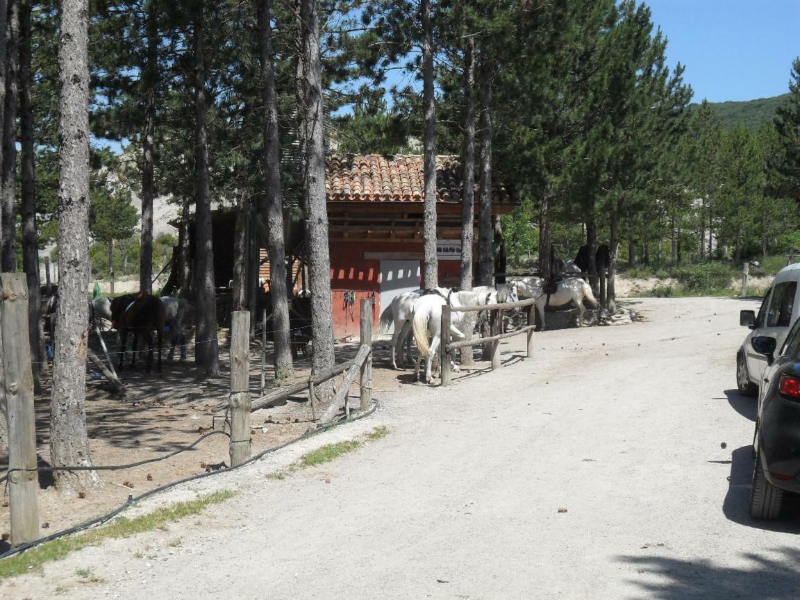 Bienvenidos A Vuestra Casa! Lägenhet Sansoáin Exteriör bild